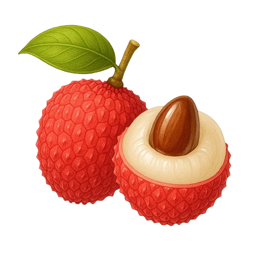 Lychee flavor