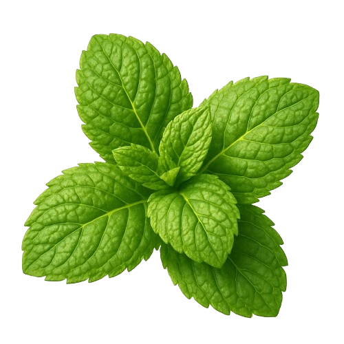 Mint flavor